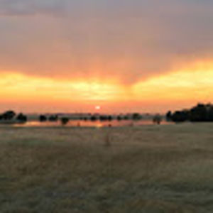 Meet your Posher, Arthur